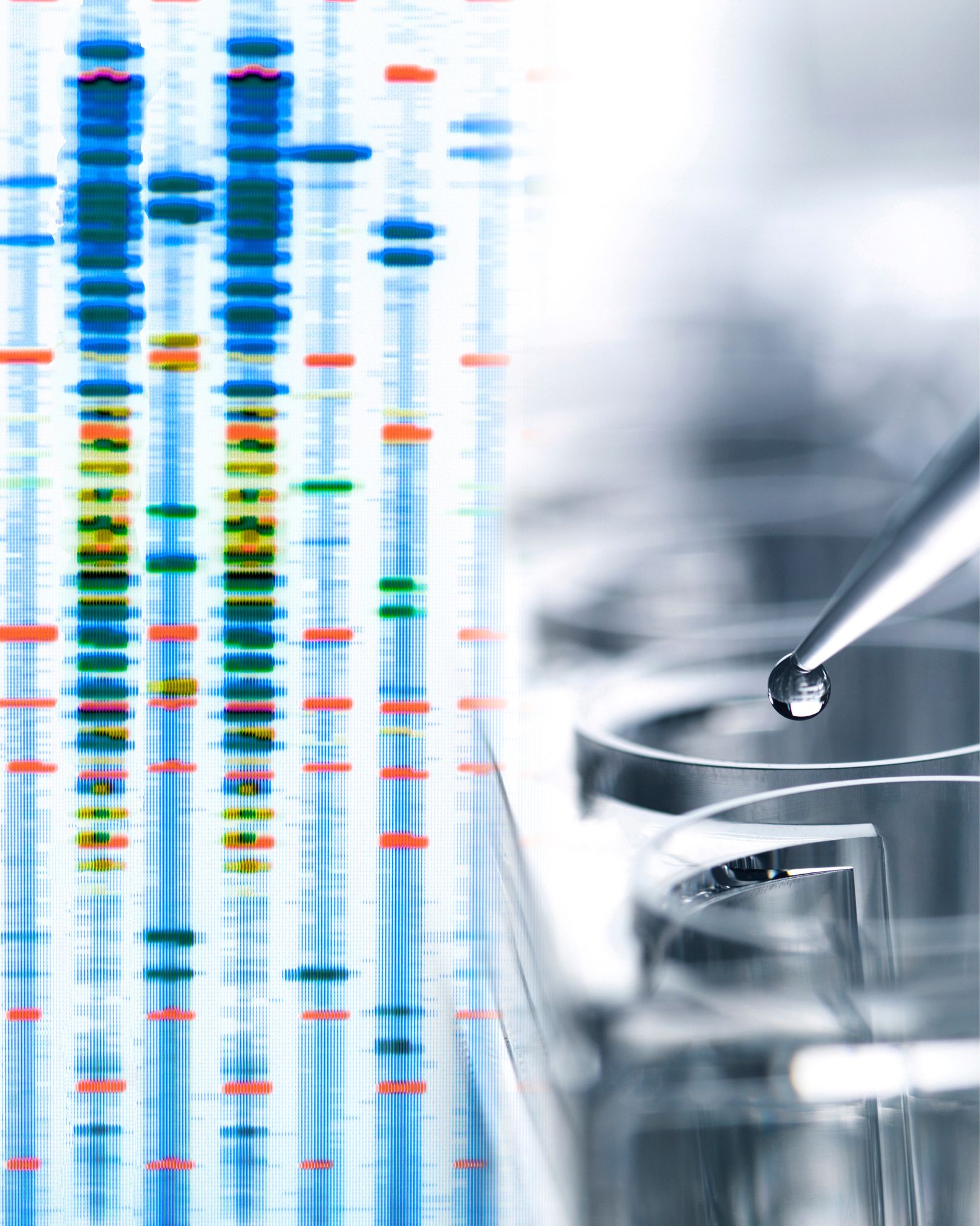 آگاهی ژنتیکی برای تصمیمی گیری بهتر